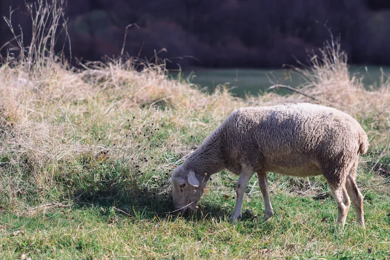 Abruzzo, cover photo