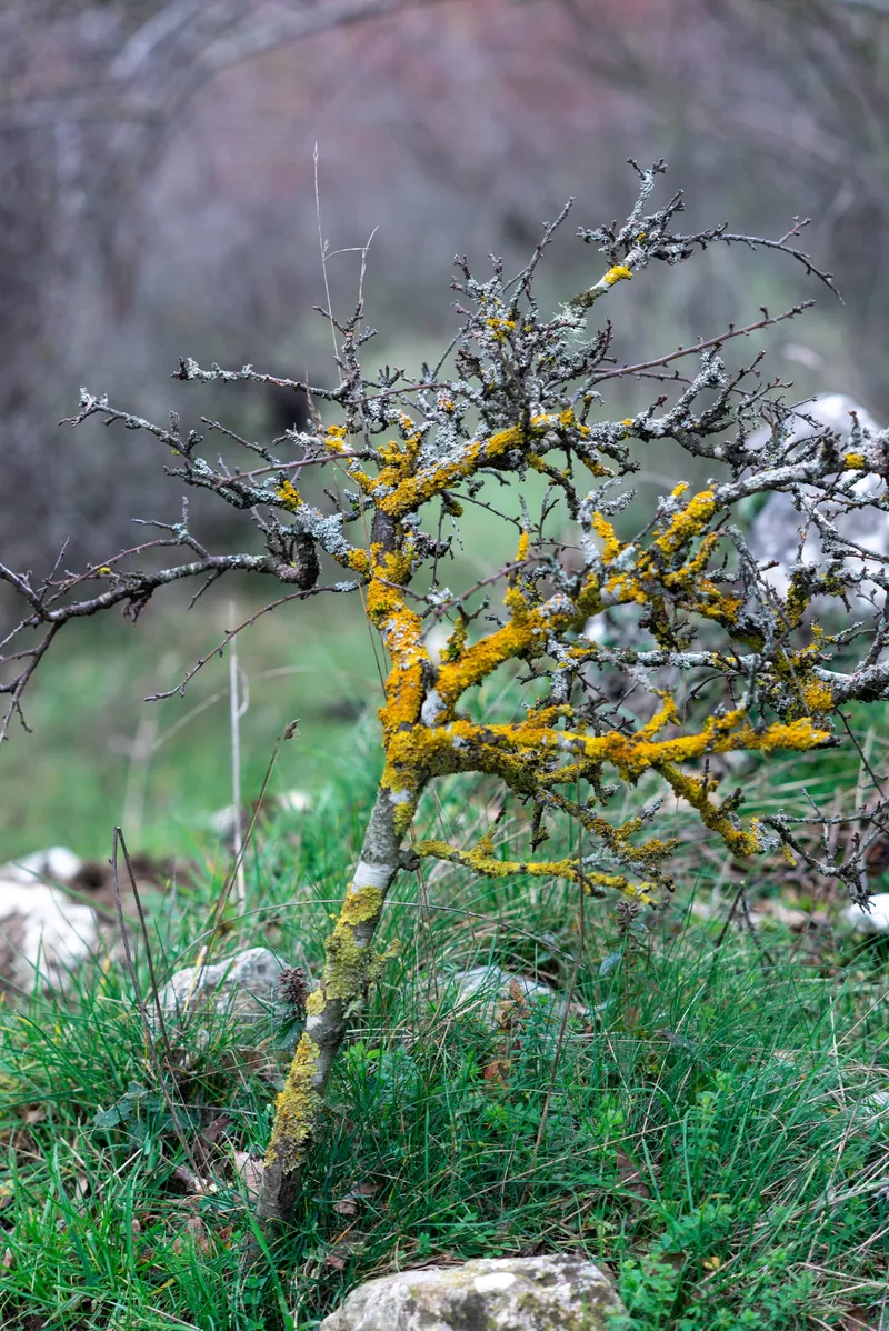 Abruzzo, photo 14