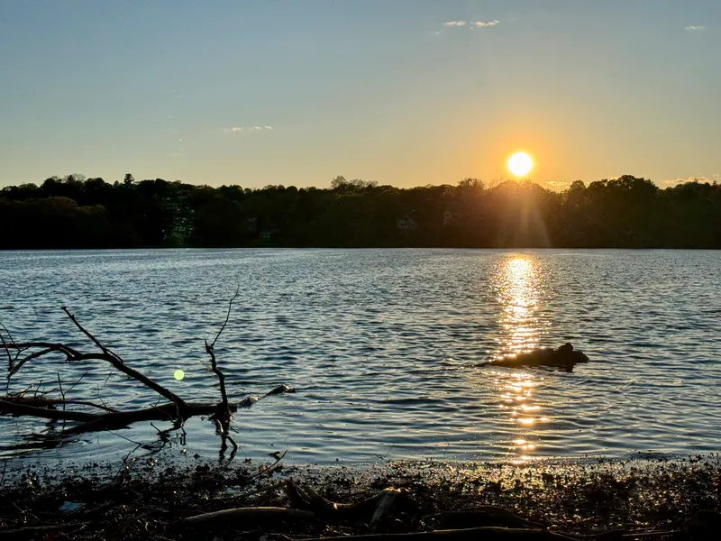 Spy Pond, cover photo