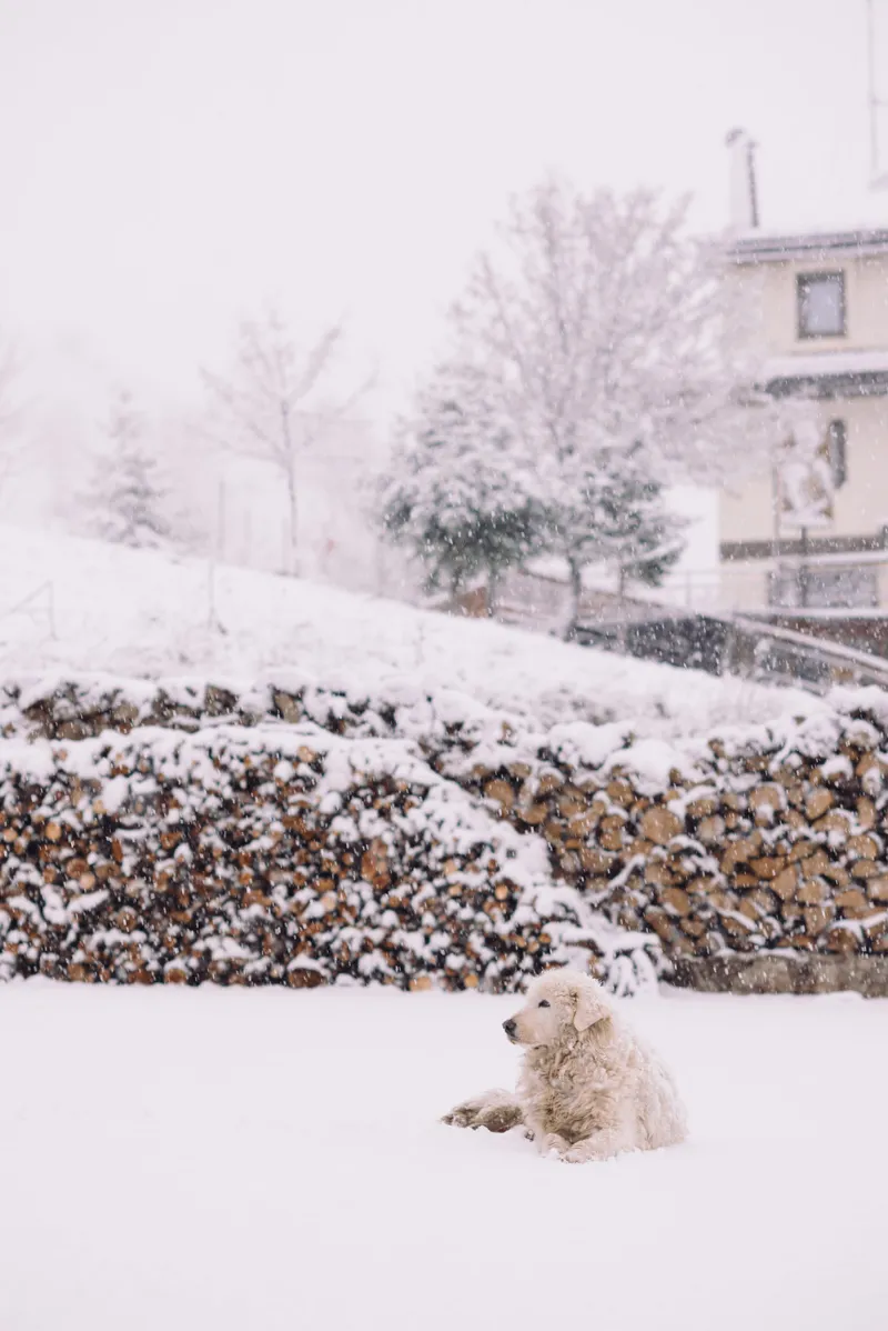 Abruzzo, photo 16