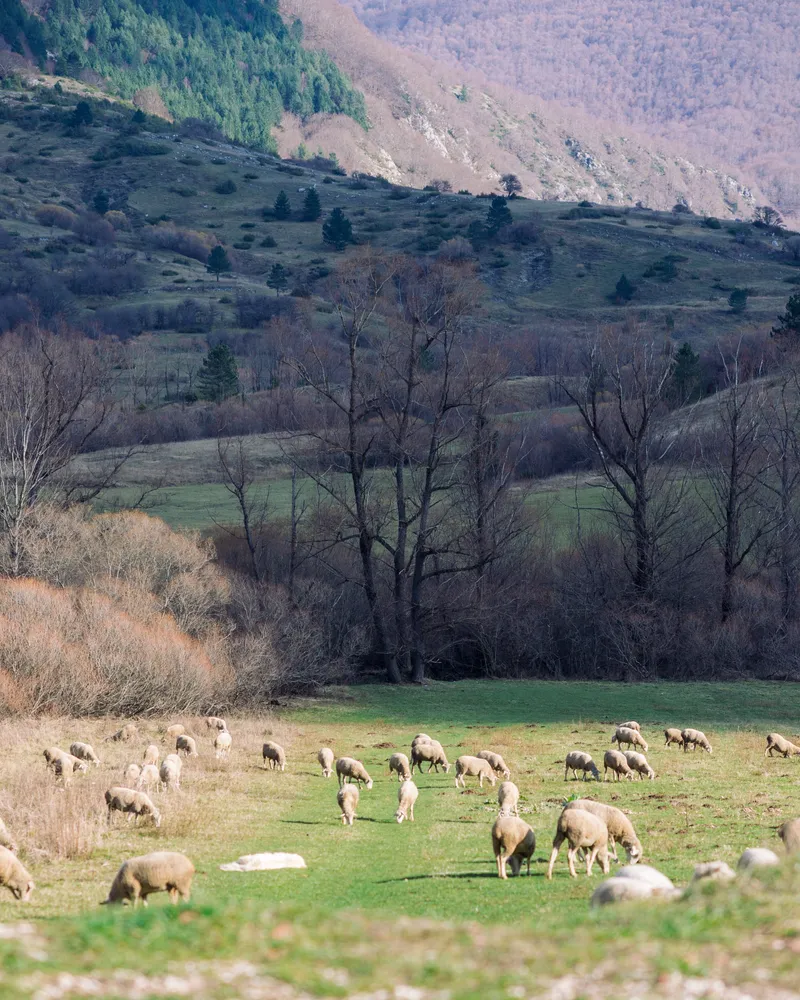 Abruzzo, photo 2