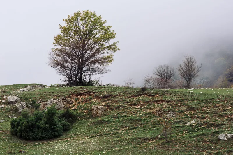 Abruzzo, photo 12