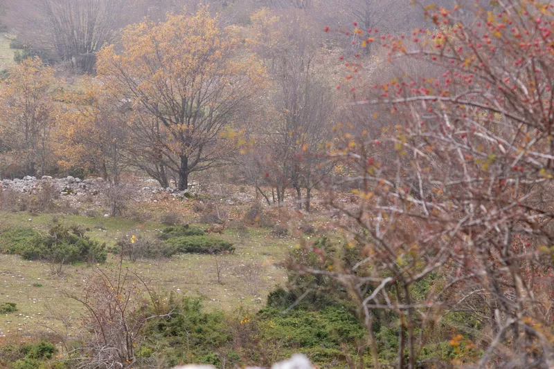 Abruzzo, photo 31